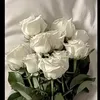 miafine3