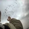 sos_e_a