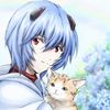 dowl_fusk226