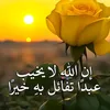 user8034573746997