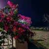 user8401670904172