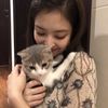 🐈‍⬛