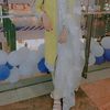 afia15363