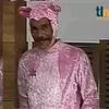 saibotoriginal