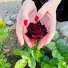 hadeali03