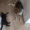 www.tiktok.combrina0