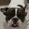 isaac.baptista0