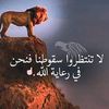 user4059788212266