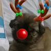 thorzinho301124
