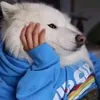 xbtkmszt48v