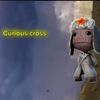 curious_cross