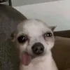 shobee_shift