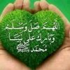user59534481491203