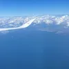 inunekoyasai