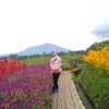 riahharyady