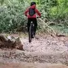 deividas.123