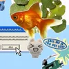 pet.xrlz_