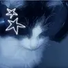 tannaz5994