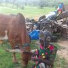 oumar.diaw46