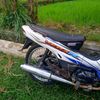 dendislebew_