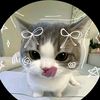 bristyrahman114