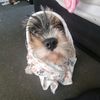 gottaluvmarleyy