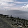 rara58464