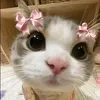 bay_hannah22