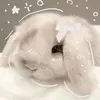 chiunaa1