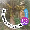 nguyn.minh.th.th4