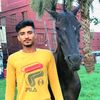 laragujjar00