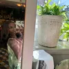 niasantox