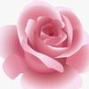 santiago.sameh