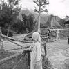 regita.arini