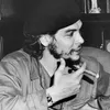 guevara7900