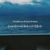 a.thousand.flower8