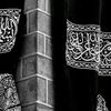 anindia_barca