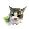 micikax_matcha