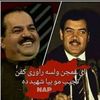 user4417823796081