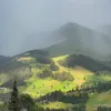 mustawhprhr