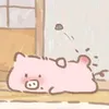 yuanyuan__k9