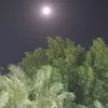 hawraa20046