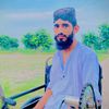 kashi22104