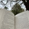 booktoklibrarian