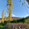 alamosdelsur21