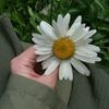 liba.akhter8