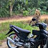 blacknetral1