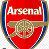 arsenal_fan699