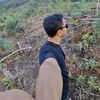 trondol_sawit