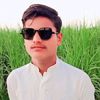 ali7864471